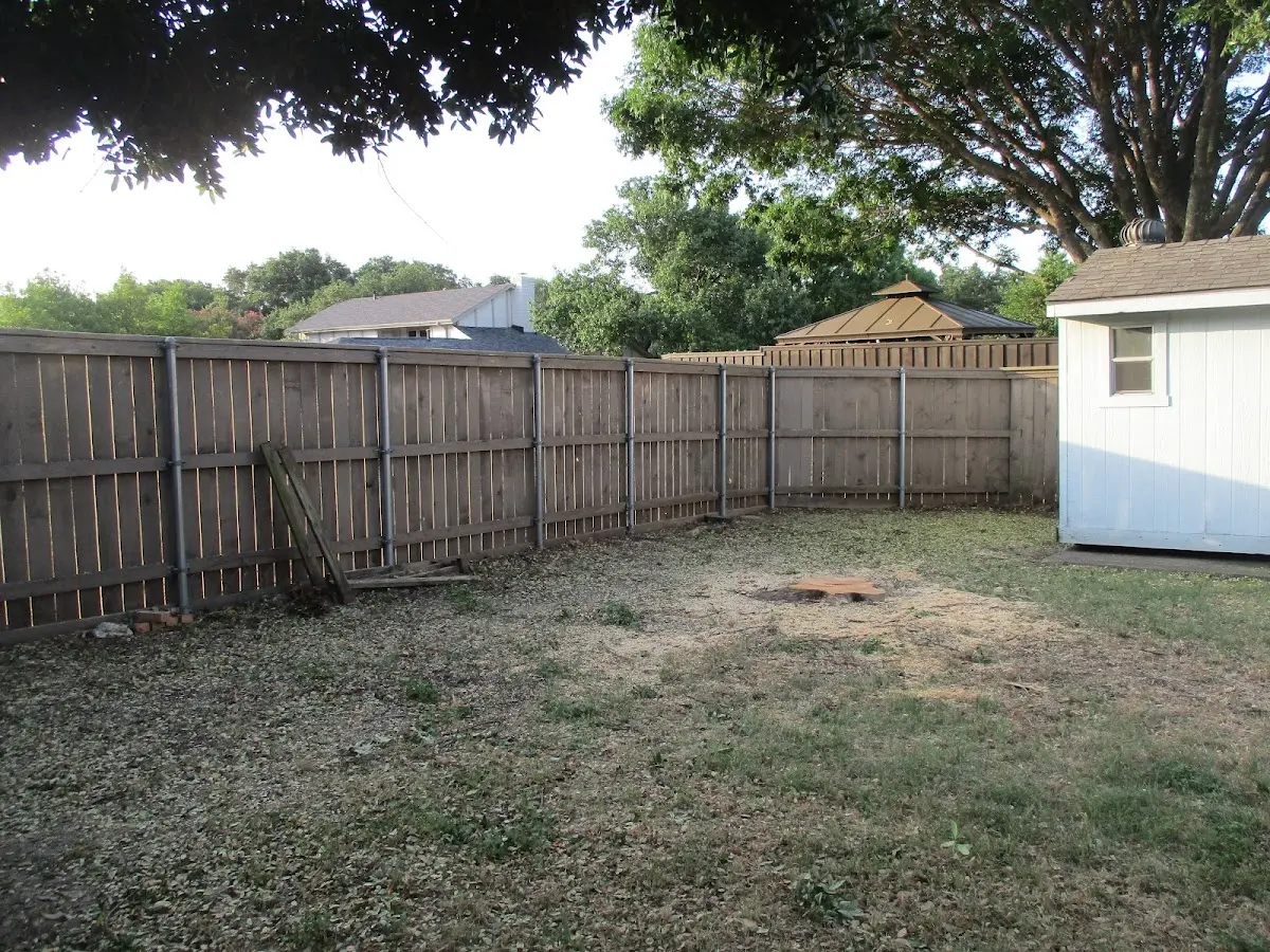 Cleared yard after professional tree removal in Findley Lake